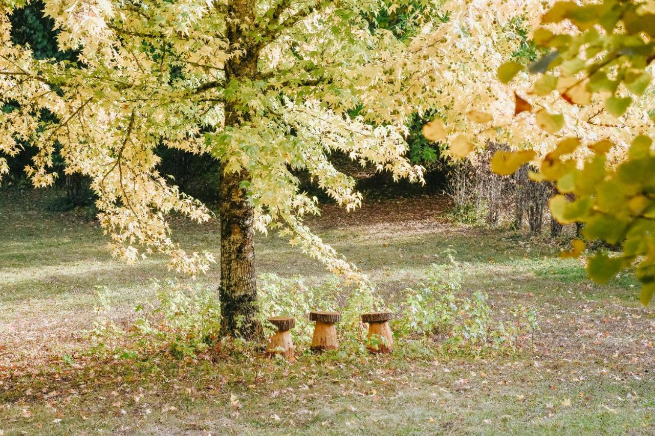 Maison Cistus - Maison D'Hotes De Charme - Suites Et Gite Avec Terrasses Privees - Proche De Sarlat, Au Coeur De La Nature Eksteriør billede
