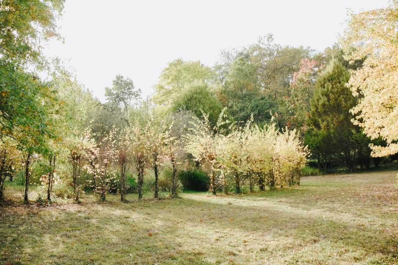 Maison Cistus - Maison D'Hotes De Charme - Suites Et Gite Avec Terrasses Privees - Proche De Sarlat, Au Coeur De La Nature Eksteriør billede